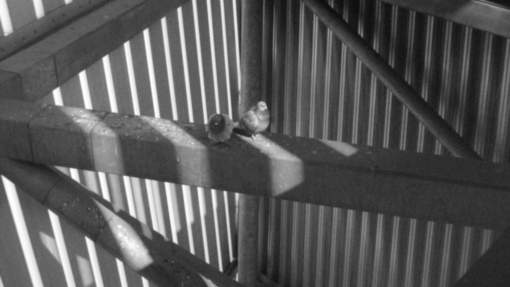 View from inside the Imperial War Museum North