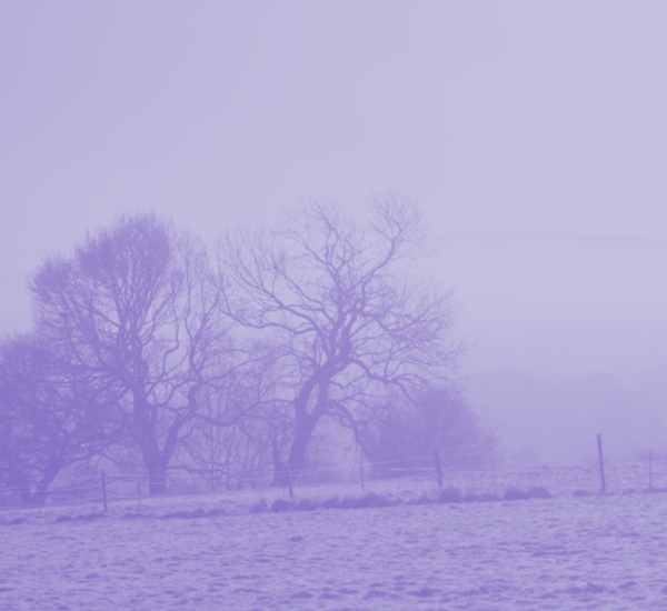 Image of a landscape under snow