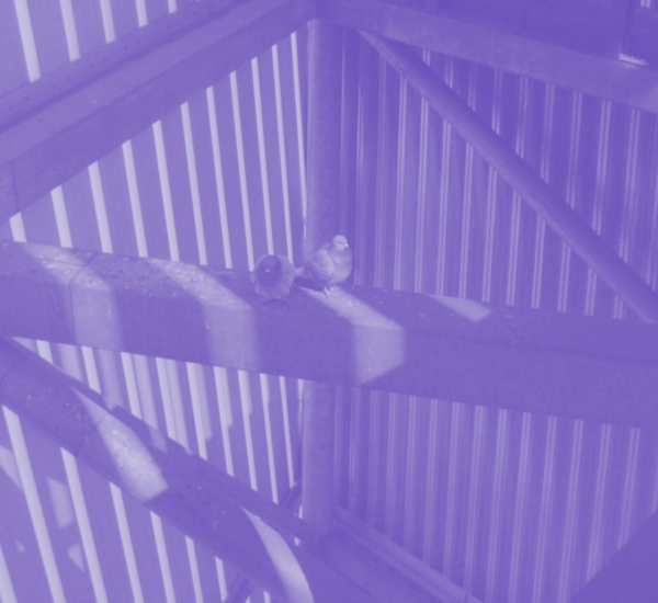 View from inside the Imperial War Museum North