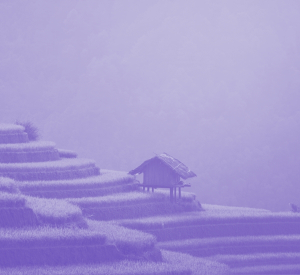 Person Standing on Terraces