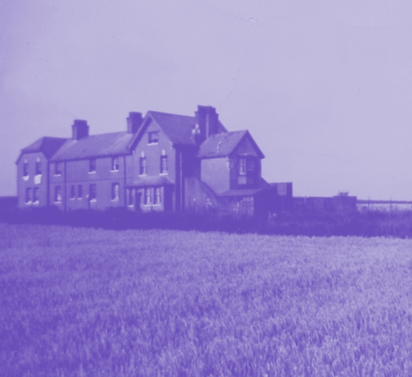 Photo by Suzy Hazelwood from Pexels