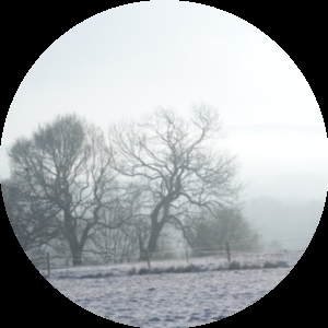 Image of a landscape under snow