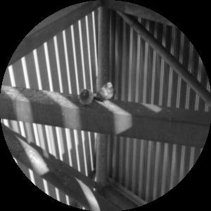 View from inside the Imperial War Museum North