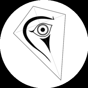 Kite motif by Cody Schell