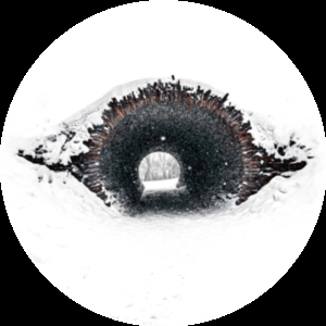 Image of a tunnel in the snow