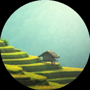 Person Standing on Terraces