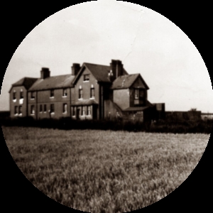 Photo by Suzy Hazelwood from Pexels